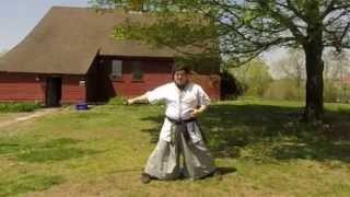 Haidong Gumdo Ssangsu Sword Form 1 [upl. by Boj]