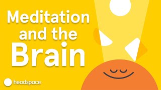 Meditations Impact on the Brain  Expert Videos [upl. by Mlawsky786]