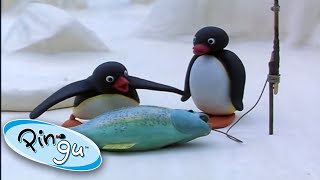 Pingu Goes Fishing With His Family 🐟 Pingu 1 Hour  Cartoons for Kids [upl. by Owen]