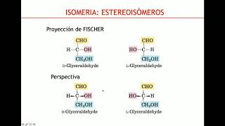 Glúcidos y Lípidos  Biología Celular y Tisular [upl. by Mazonson]