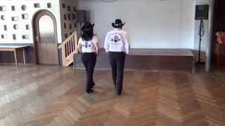 Country 2 Step Line Dance Teach amp Dance [upl. by Whitver913]