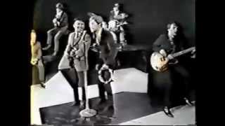 The Association  Windy Live 1967 [upl. by Nevin]