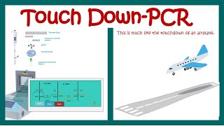 Touch down PCR [upl. by Vipul188]