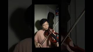 Counting Stars  One Republic Violin Cover [upl. by Elvera872]