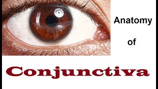 Pale Conjunctiva  A Sign of Anemia [upl. by Paymar403]