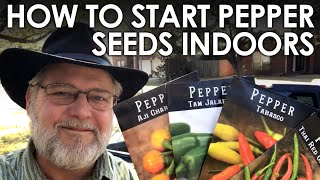 How to Start Pepper Seeds Indoors  Black Gumbo [upl. by Mehcanem]