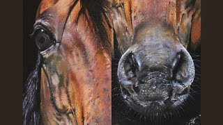 How to Paint a Realistic Horse  Portrait Painting  Timelapse Acrylic Painting [upl. by Ereveneug]