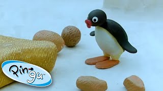 Pingu Makes Art Pingu  Official Channel Cartoons For Kids [upl. by Eninnej]