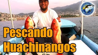 PESCANDO HUACHINANGOS [upl. by Desirea]