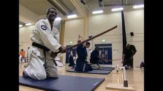 Haidong Gumdo Class Action Demo [upl. by Bradeord]