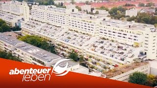 Die Berliner Schlange Früher kriminell  heute ein Familienblock  Abenteuer Leben  kabel eins [upl. by Dyal]