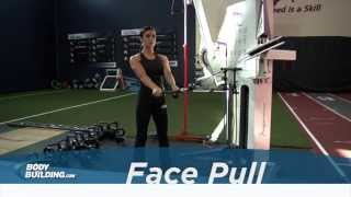 Face Pull  Shoulder Exercise  Bodybuildingcom [upl. by Owiat449]