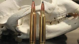 7mm Rem Mag vs 300 Win Mag Ultimate Showdown [upl. by Obrien931]