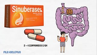 SINUBERASE  PARA QÚE SIRVE [upl. by Clemen]