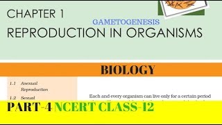 Part4 REPRODUCTION IN ORGANISMS chapter1 NCERT class 12th biology [upl. by Mert]