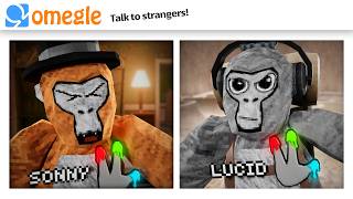 OMEGLE Trolling in Gorilla Tag [upl. by Loggia396]