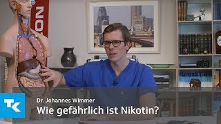 Wie gefährlich ist Rauchen  Dr Johannes Wimmer [upl. by Kenimod]