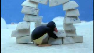 Pingu Pingu builds an Igloo [upl. by Brout]