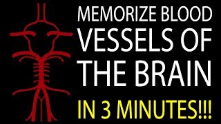 MNEMONIC Brains Blood Supply MEMORIZE in 3 Minutes [upl. by Thenna]