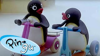 Pingu Surprises Everyone 🐧  Pingu  Official Channel  Cartoons For Kids [upl. by Roti]