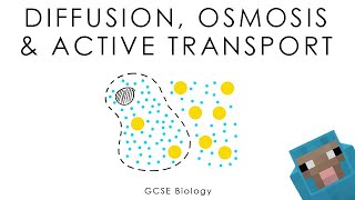 Diffusion Osmosis amp Active Transport  Biology full version [upl. by Jocelyn]