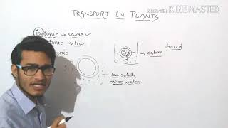 Plasmolysis explained in detail turgid  flaccid and plasmolysed cells [upl. by Eide]