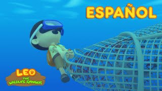 El Tiburón Martillo Común Español  Leo El Explorador Episodio  Animación  Familia  Niños [upl. by Otsedom]