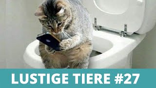 LUSTIGE TIERE  Witzige Tiervideos Lustige Tiere Compilation 27 [upl. by Adiaros285]