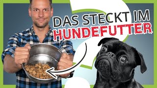 Was steckt wirklich im HUNDEFUTTER Die unbequeme Wahrheit [upl. by Aniroc]