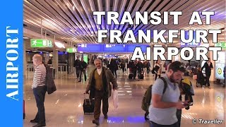 TRANSIT WALK AT FRANKFURT Airport FRA Terminal 1  Connection Flight Transfer Arriving amp Departing [upl. by Ilzel]