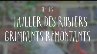 Tailler des rosiers grimpants [upl. by Alvinia]