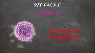 SVT FACILE  1ère spé  Limmunité adaptative [upl. by Oina]