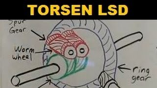 Torsen Limited Slip Differential  Explained [upl. by Nyliret]