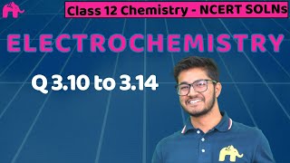 Electrochemistry  Class 12 Chemistry  Chapter 3  NCERT Solutions  Questions 310 to 314 [upl. by Aynotal]