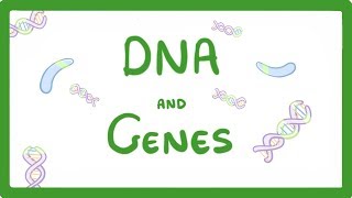 Inherited Genetic Disorders  Genetics  Biology  FuseSchool [upl. by Ire]