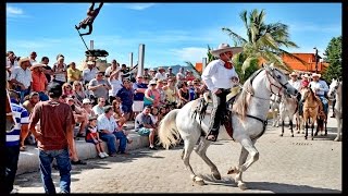 Best Mexican Dancing Horses Show D Mexican Caballos bailando [upl. by Elvin828]