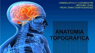 ANATOMIA TOPOGRAFICA [upl. by Shalna21]