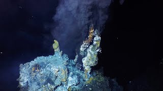 What are hydrothermal vents [upl. by Eet599]