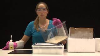 How to build a Cloud Chamber [upl. by Avik]