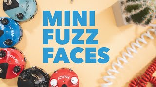 Why Dunlop Mini Fuzz Faces Are Awesome [upl. by Crane446]