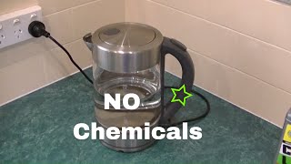 Easy Cleaning Descale a Jug or Kettle [upl. by Leinad]