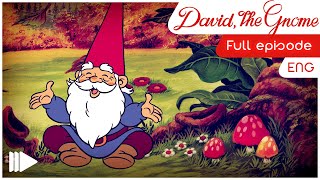 David the Gnome  2  The little witch  Full Episode [upl. by Aitnohs]