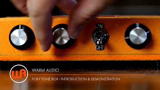 Warm Audio  Foxy Tone Box  Introduction amp Demonstration [upl. by Hairahs]