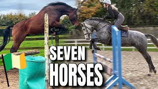 THE MOST HORSES WE TRIED IN A DAY Part 3 [upl. by Bertha]