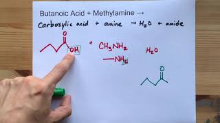 Butanoic Acid  Methylamine   Nmethylbutanamide  Water [upl. by Amles]