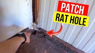 How To Patch a Rat Hole Jonny DIY [upl. by Woodhead]