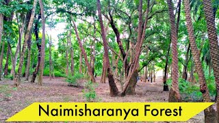 Naimisharanya Forest  Indian Forest Documentary  Neemsar Tirth [upl. by Akeenahs]