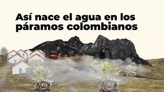 Así nace el agua en los páramos colombianos  Especiales RCN Radio [upl. by Jereld755]