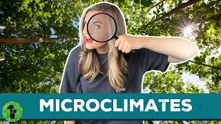 Microclimates  Contributing Factors amp Examples [upl. by Daus]