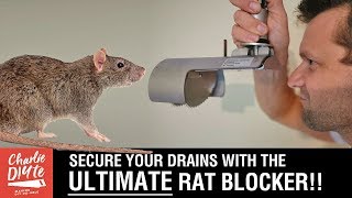 How to Install the ULTIMATE Drain Rat Blocker [upl. by Ahsekram]